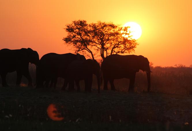 Reise in Namibia, Namibia/Botswana/Sambia - Abenteuerreise: Buschmannland, Caprivi & Victoriafälle (18 Tage Rundreise mit Zeltübernachtungen)