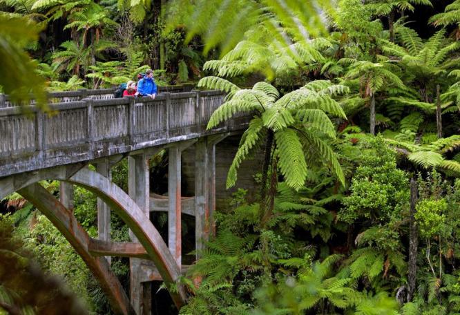 Reise in Neuseeland, Dschungelwanderung Whanganui River, Ruapehu District, Neuseeland