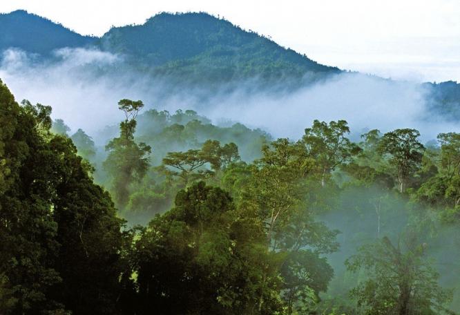 Reise in Malaysia, Nebelschaden am Morgen in den Bergen des Mulu-Nationalparks im Bundesstaat Sarawak auf Borneo in Malaysia