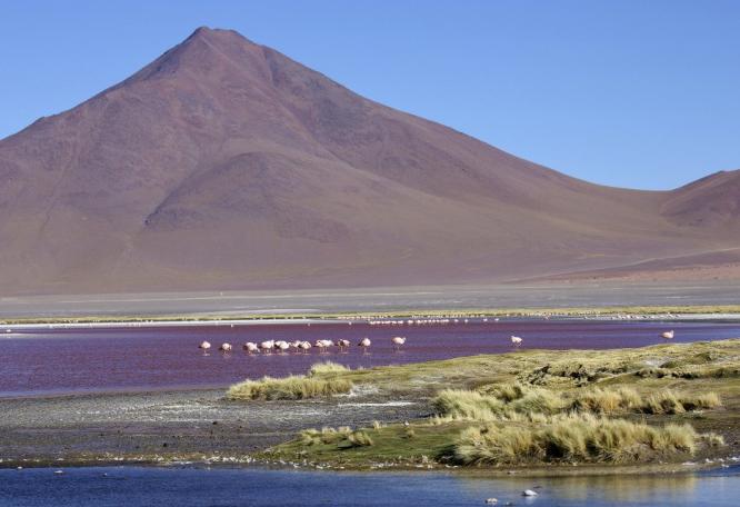 Reise in Bolivien, Kakteeninsel Incahuasi inmitten des Salar de Uyuni