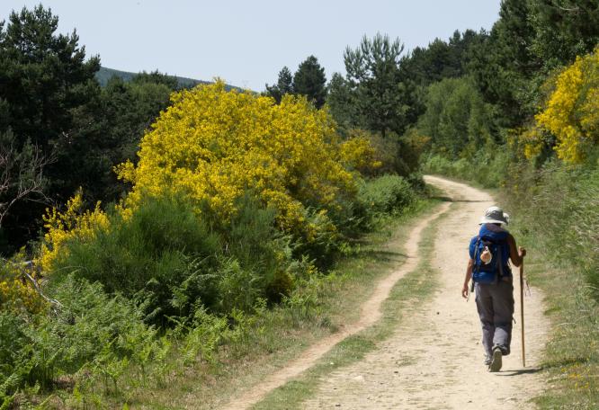 Reise in Spanien, Nordspanien: Wandern entlang des Jakobswegs