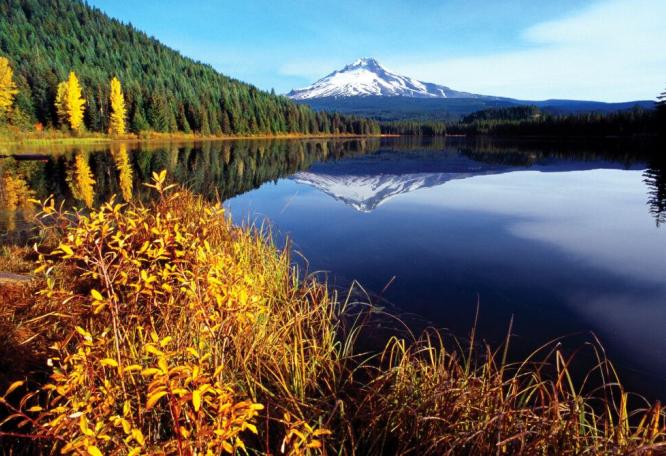 Reise in Vereinigte Staaten von Amerika, Der herbstliche Mount Hood spiegelt sich im Trillium Lake, Oregon