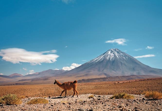 Reise in Peru, Peru, Bolivien & Chile: Die ausführliche Reise