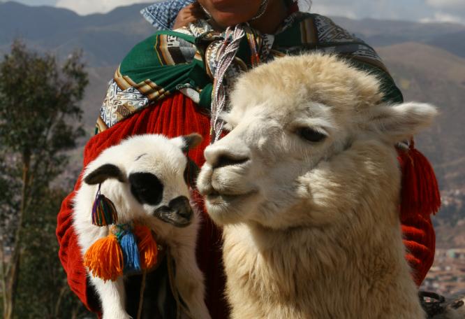 Reise in Peru, Peru Teens on Tour - Peru Familienreise - Einheimische Frau