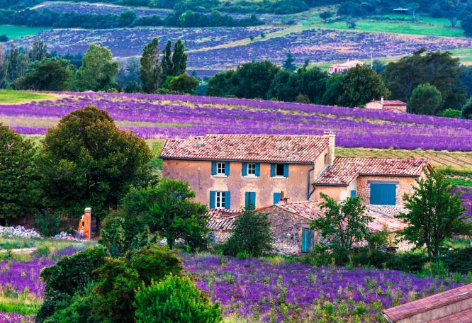 Reise in Frankreich, Provence: Höhepunkte zur Lavendelblüte
