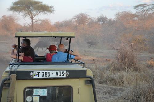 Reise in Tansania, Optimal geschützte Fotopirsch mit Traumblick vom Dach des Safarisutos