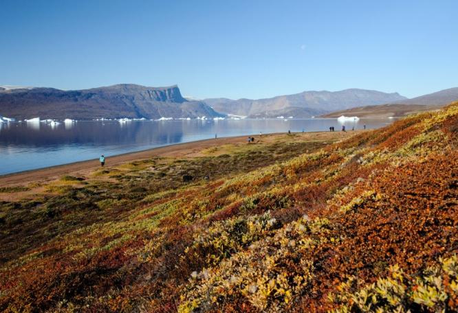 Reise in Grönland, Ab Mitte August stehen die Chancen für Nordlichter sehr gut