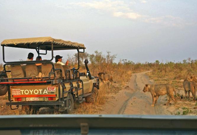 Reise in Simbabwe, Auf Nashorn-Pirsch im Matobo-Nationalpark