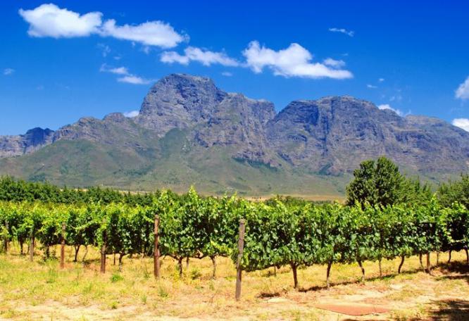 Reise in Südafrika, Winelands von Südafrika