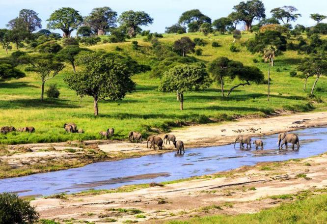 Reise in Tansania, Tansania - Auf den Spuren Grzimeks