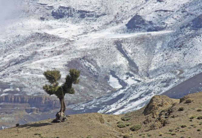 Reise in Marokko, letzer Schnee im Atlas