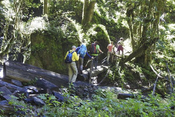 Reise in Costa Rica, Trekking, Regenwälder und Vulkane