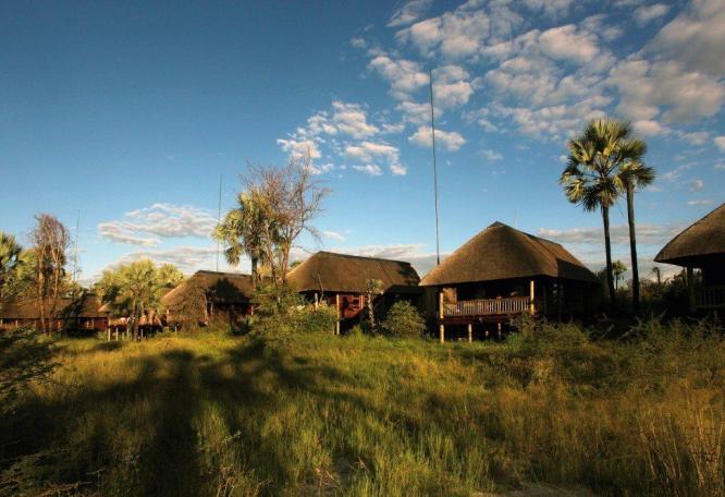 Reise in Botswana, Okavango-Delta: das riesige Feuchtgebiet, lässt sich eigentlich nur aus der Luft begreifen.