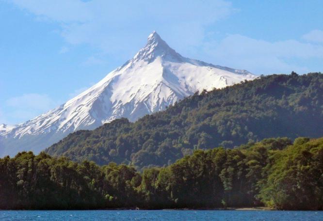 Reise in Chile, Araukarienwald vor dem Vulkan Llaima
