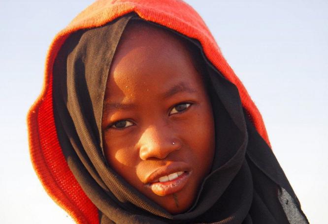 Reise in Tschad, Wüstenschiff