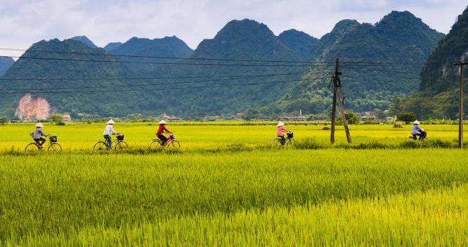 Reise in Vietnam, Rundreise per Fahrrad in der Natur zum Nationalpark Cuc Phuong in Vietnam