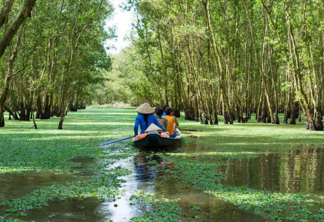 Reise in Vietnam, Per Boot zwischen Mangroven
