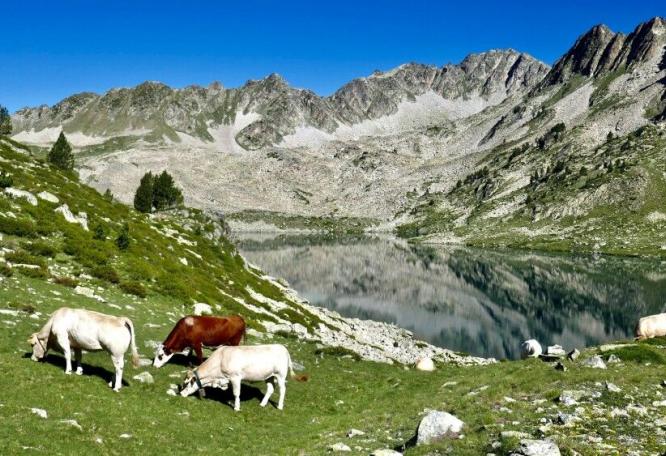 Reise in Spanien, Idyllische Landschaften beim Wandern in den Pyrenäen