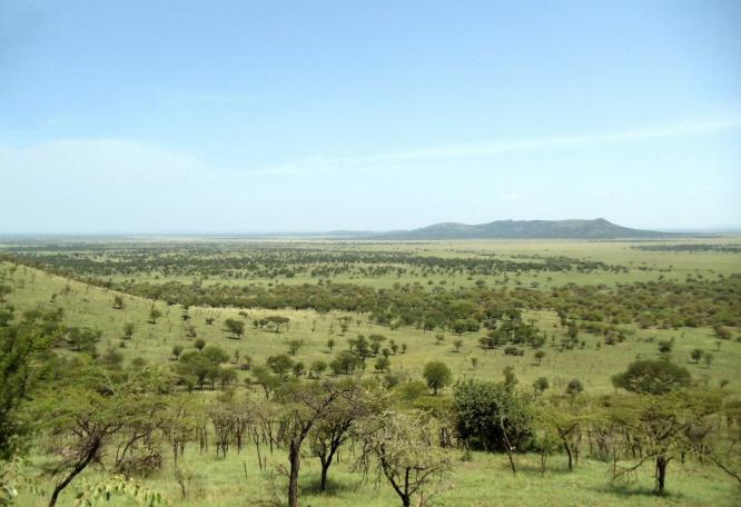 Reise in Tansania, Wanderung mit einem stolzen Massai am Lake Natron