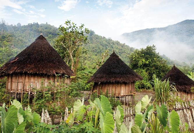 Reise in Indonesien, Traditionelle Hütten auf Papua-Neuguinea
