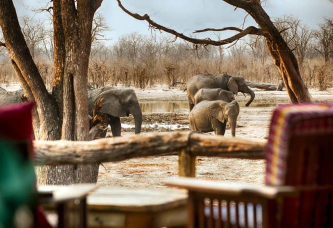 Reise in Botswana, Elefanten gesehen vom Hauptdeck im Hyena Pan Tented Camp