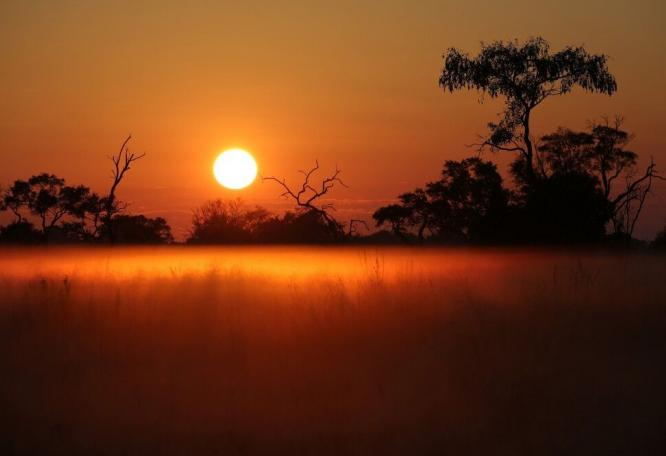 Reise in Namibia, Elefanten im Sonnenuntergang