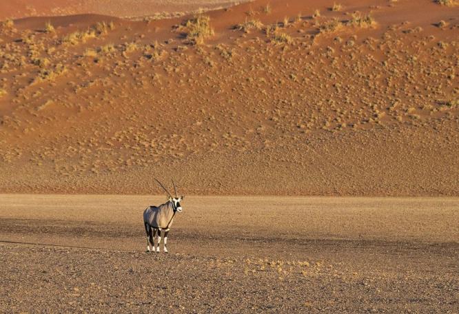 Reise in Namibia, Namib-Wüste