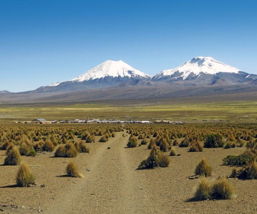 Reise in Bolivien, Zwillingsvulkane Parinacota und Pomerape mit Ort Sajama