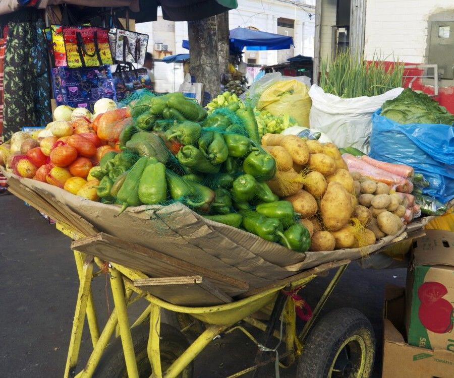 Reise in Bolivien, Markt in Manaus
