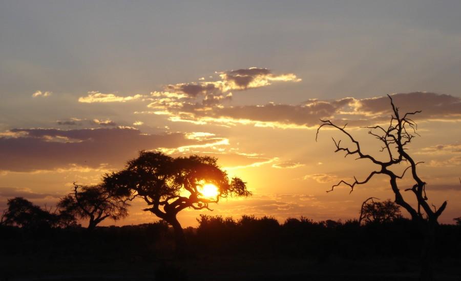 Reise in Botswana, Botswana - Namibia: Wüsten, Wildtiere und Wasser (22 Tage Trans-Delta- und Wüsten-Safari)