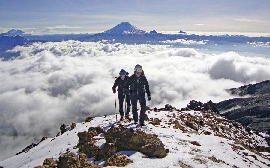 Reise in Ecuador, Vicuñas vor der alles überragenden Eiskuppel des Chimborazo