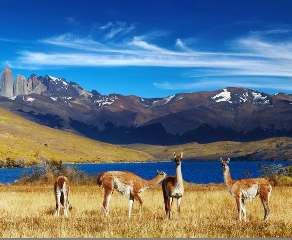 Reise in Argentinien, Chile & Argentinien - Patagonien Pur