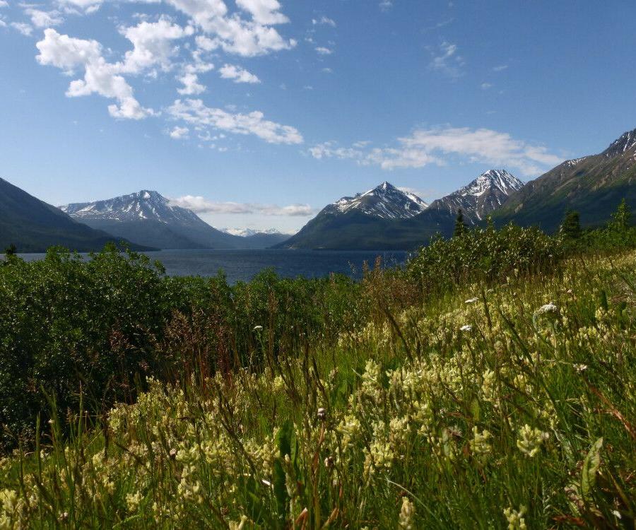 Reise in Kanada, Am Windy Arm des Tagish Lake im Yukon