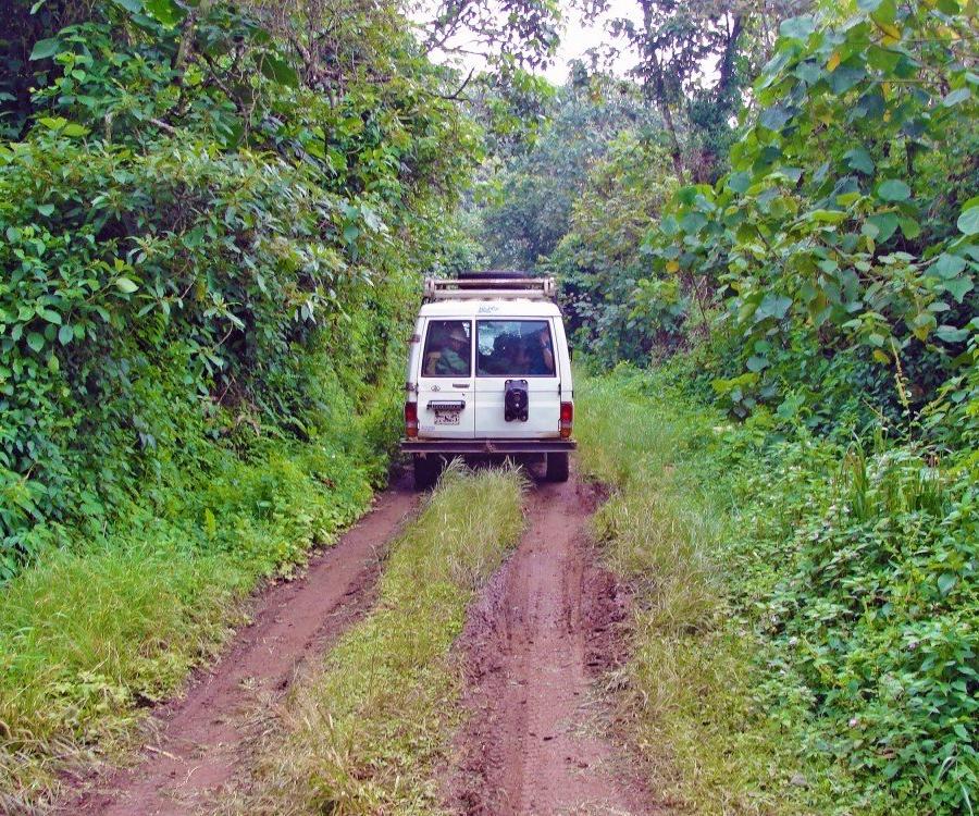 Reise in Demokratische Republik Kongo, Unterwegs im Kahuzi Biega National Park