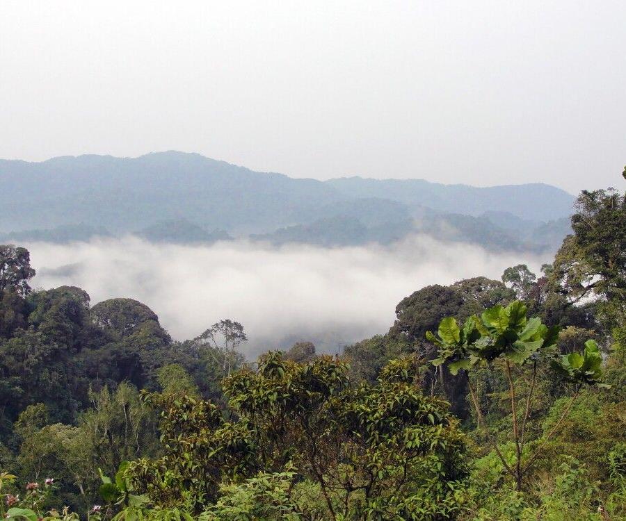 Reise in Demokratische Republik Kongo, Die Landschaft des Kahuzi Biega Nationalparks