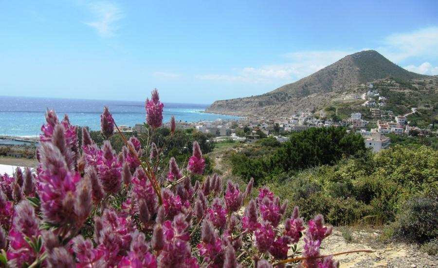 Reise in Griechenland, Griechenland - Wanderreise in Kretas ursprünglichen Osten (10 Tage Wandern, urige Dörfer und kretischer Genuss)