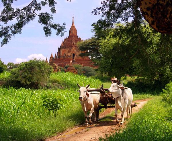 Reise in Myanmar, Highlights & Meer