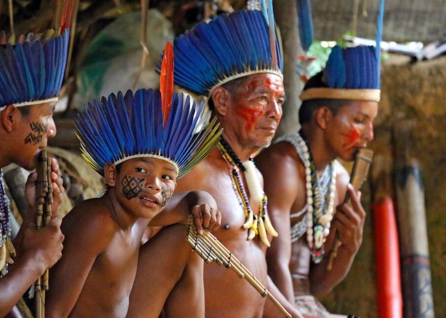 Reise in Brasilien, Indigenas