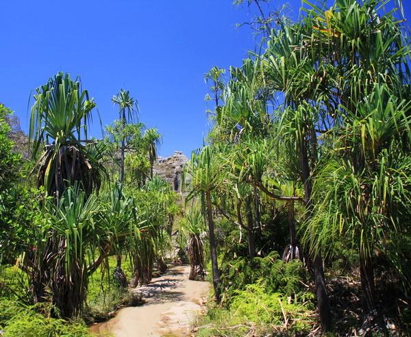 Reise in Madagaskar, Canyon im Isalo-Nationalpark