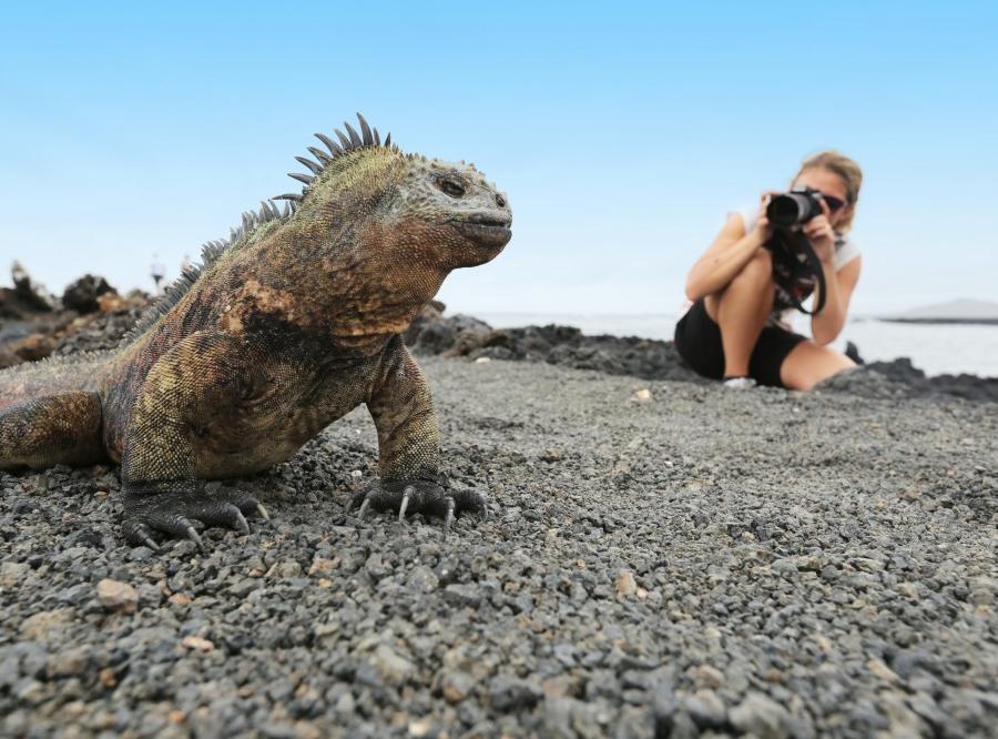 Reise in Ecuador, In den Regenwald und auf Galapagos-Kreuzfahrt Naturreise und Safari