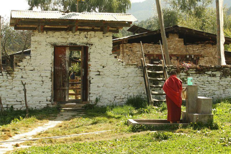 Reise in Bhutan, Indien & Bhutan: Teefelder und Maskentänze