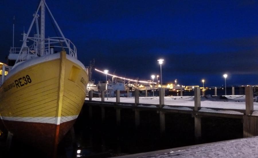 Reise in Island, Island - Silvesterreise auf Snaefellsnes und in den Westfjorden (8 Tage Island Reise im Winter)