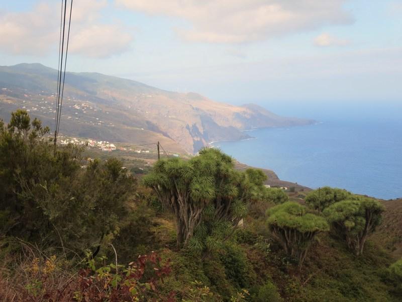 Reise in Spanien, Kanaren: La Palma per Pedes