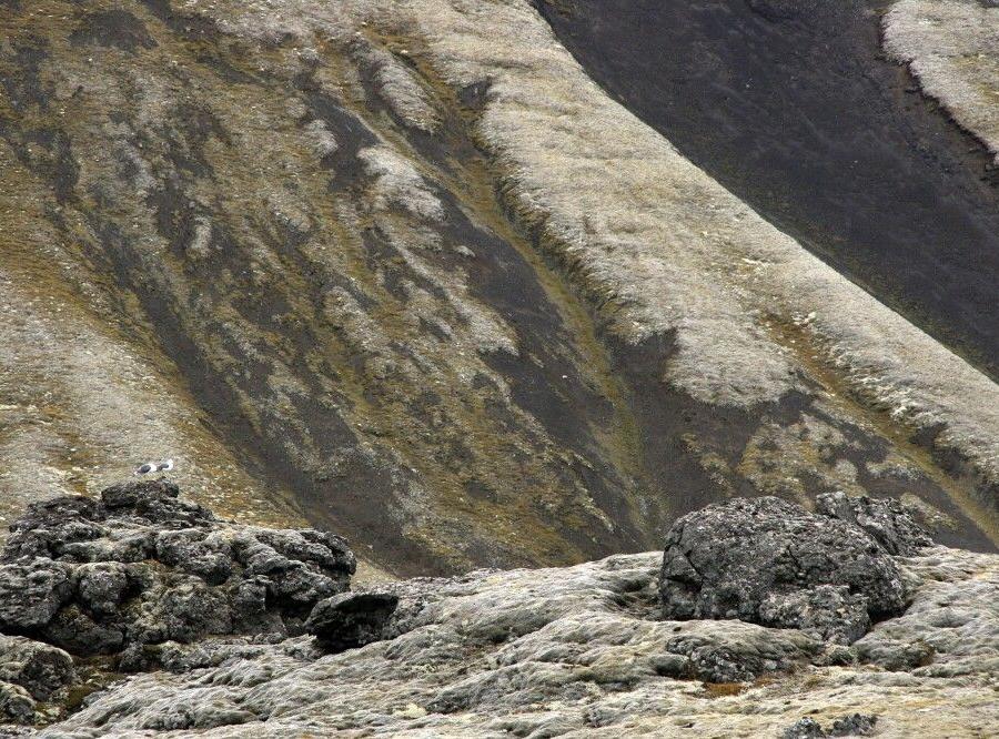 Reise in Island, Jan Mayen, einsames Eiland mitten im Atlantik