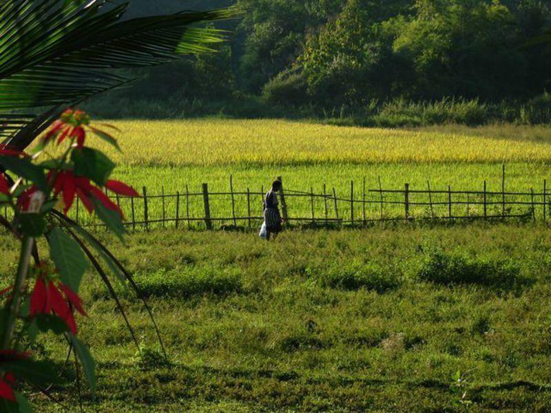 Reise in Laos, Laos - Verträumtes Land am Mekong