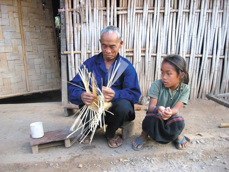Reise in Laos, Laos: Laotisches Dschungelbuch