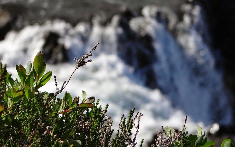 Reise in Island, Wasserfall bei Borganes
