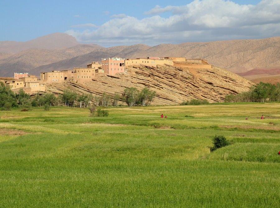 Reise in Marokko, Frauen auf dem Feldern