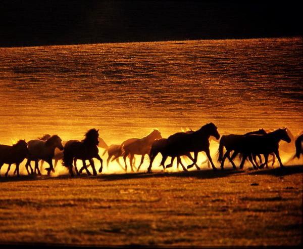 Reise in Mongolei, Mongolei - Erben des Dschingis Khan