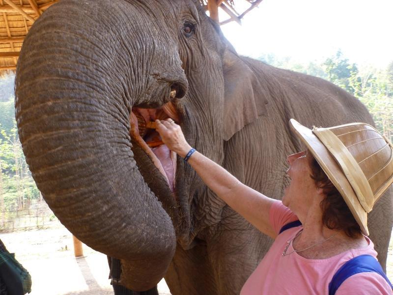 Reise in Myanmar, Nah dran am Elefanten im Elefantencamp in Myanmar